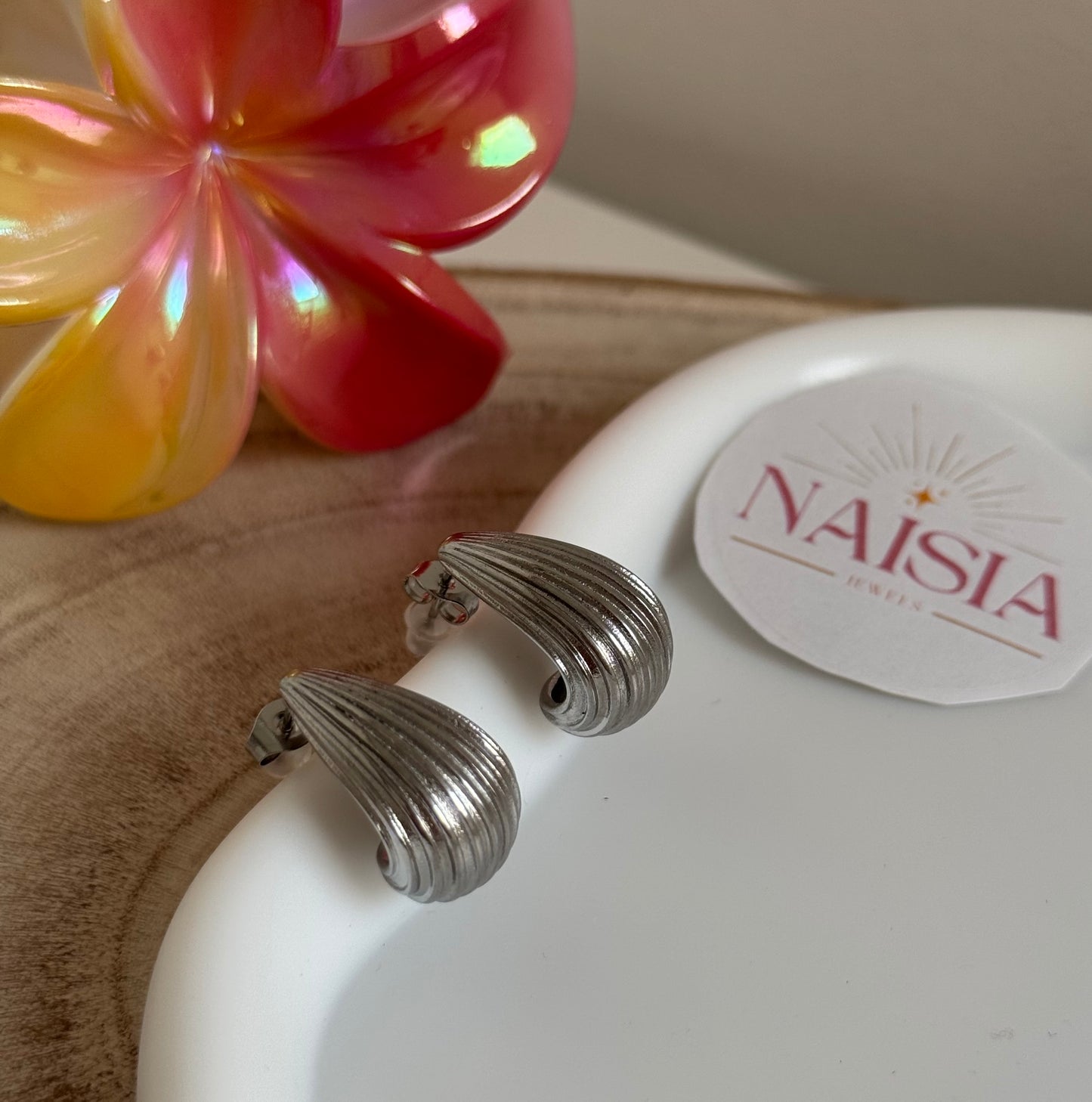 Boucles d’oreilles Giulia argenté