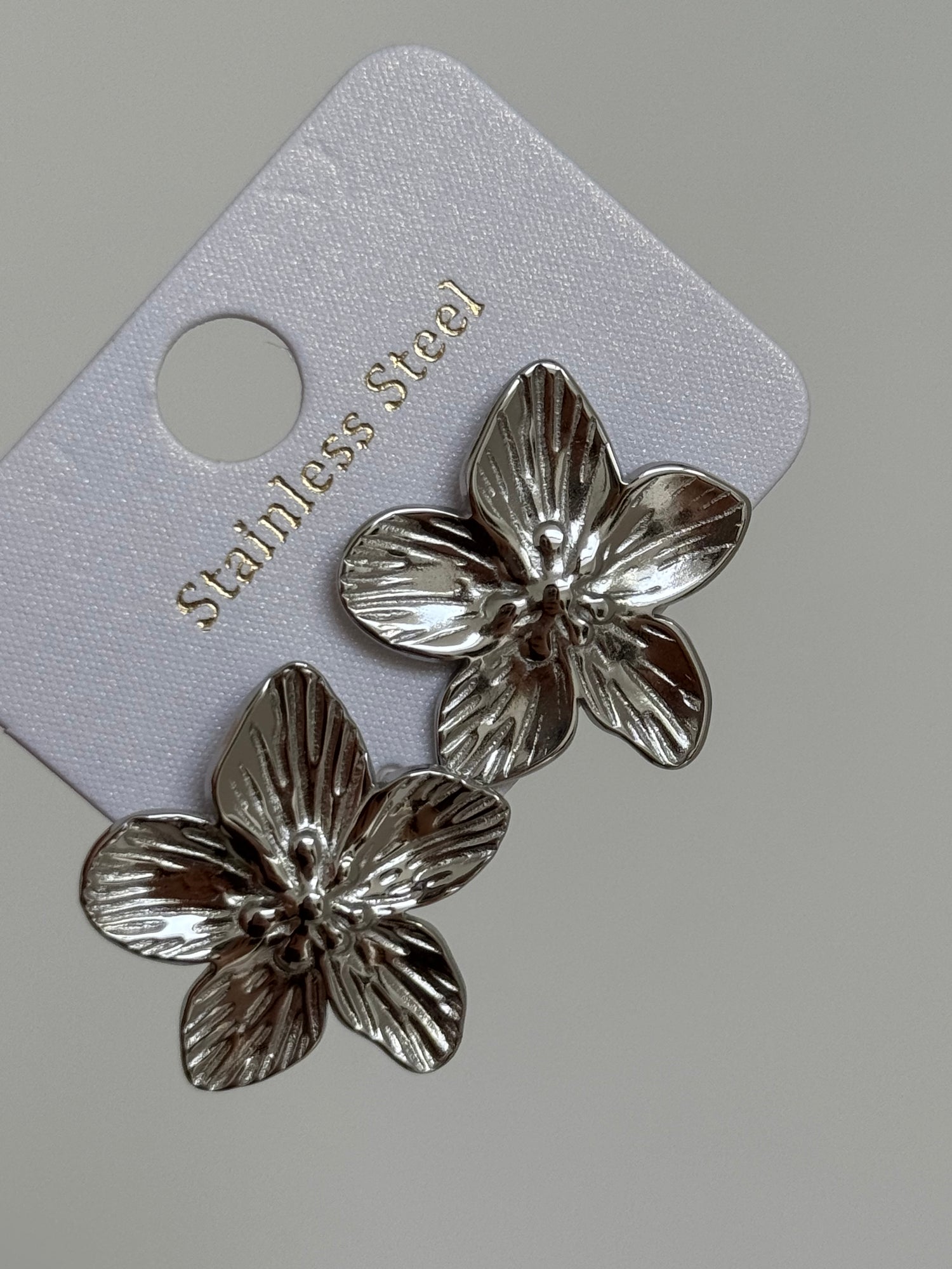 Boucles d’oreilles Argenté 🩰