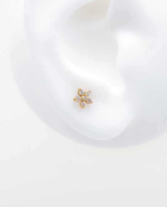 Piercing Hawaï ￼
